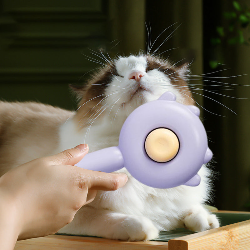 🔥Last Day 49% Off 🔥-Pet Combing Brush