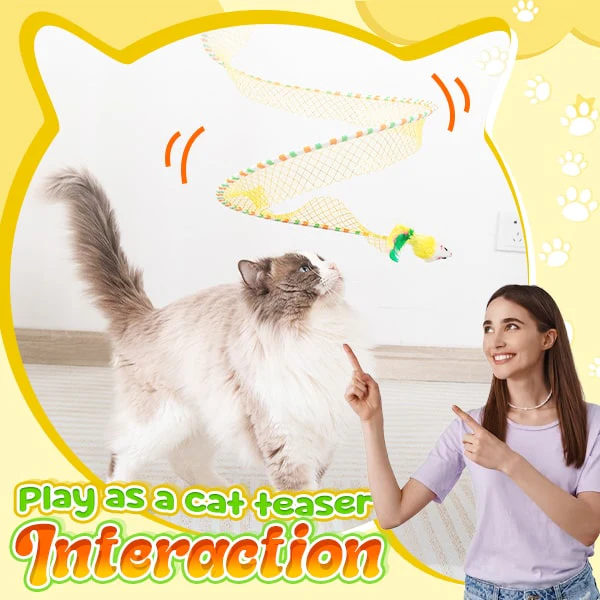 Self-play Cat Hunting Spiral Tunnel Toy