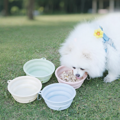 Collapsible Pet Bowl