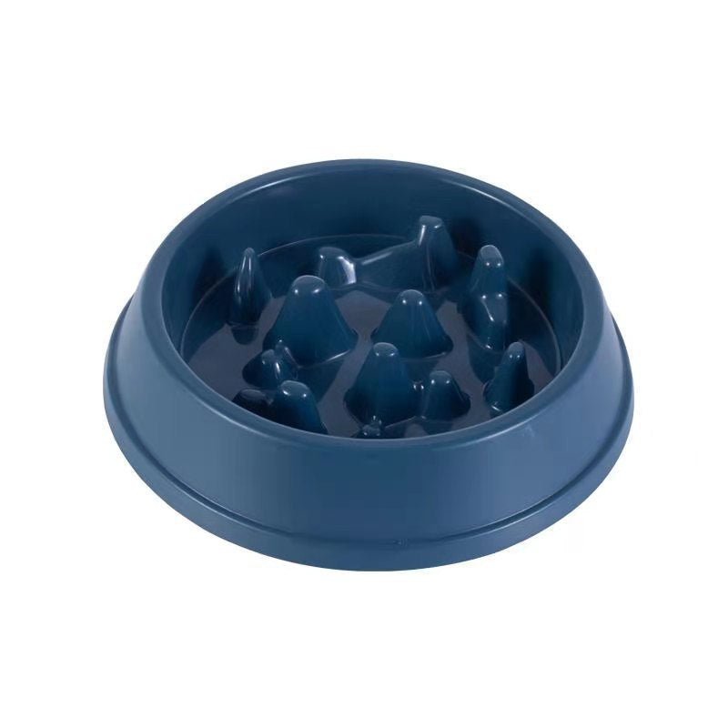 Pet Slow Feeder Bowl