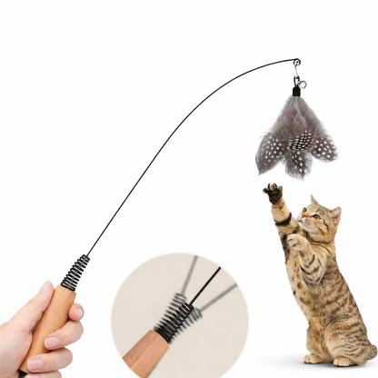 Cat Teaser Wand