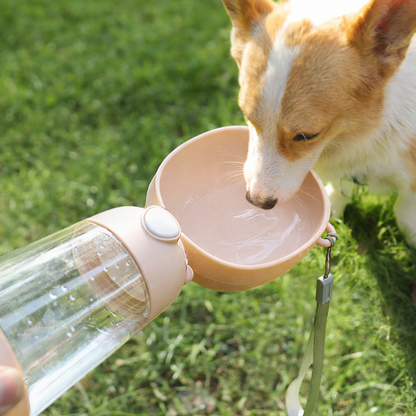 Pet Water Bottle