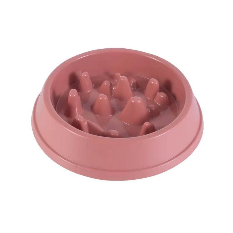 Pet Slow Feeder Bowl