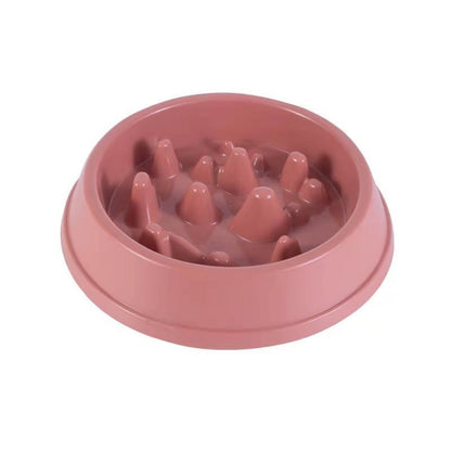 Pet Slow Feeder Bowl