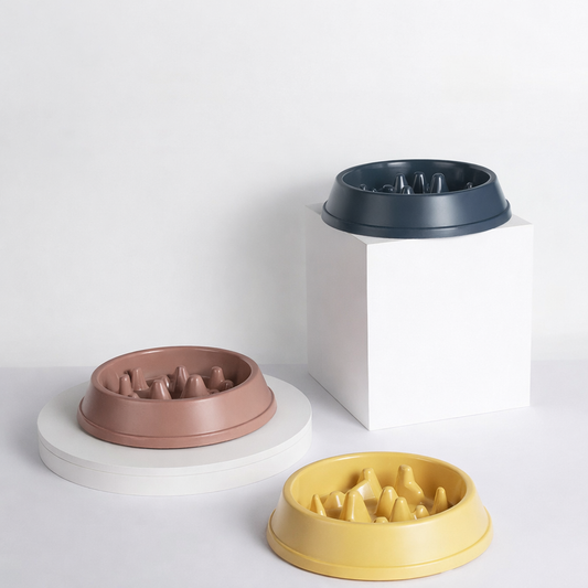 Pet Slow Feeder Bowl