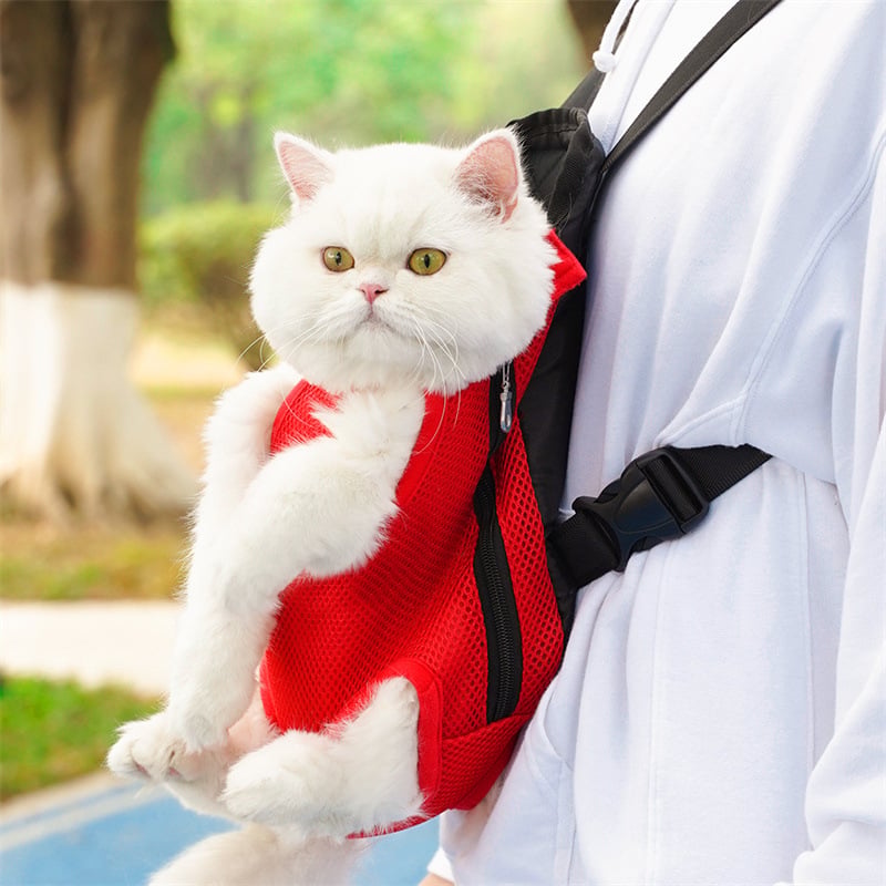 🔥Last Day 49% Off 🔥-Pet Travel Leg-out Backpack🐶🐱
