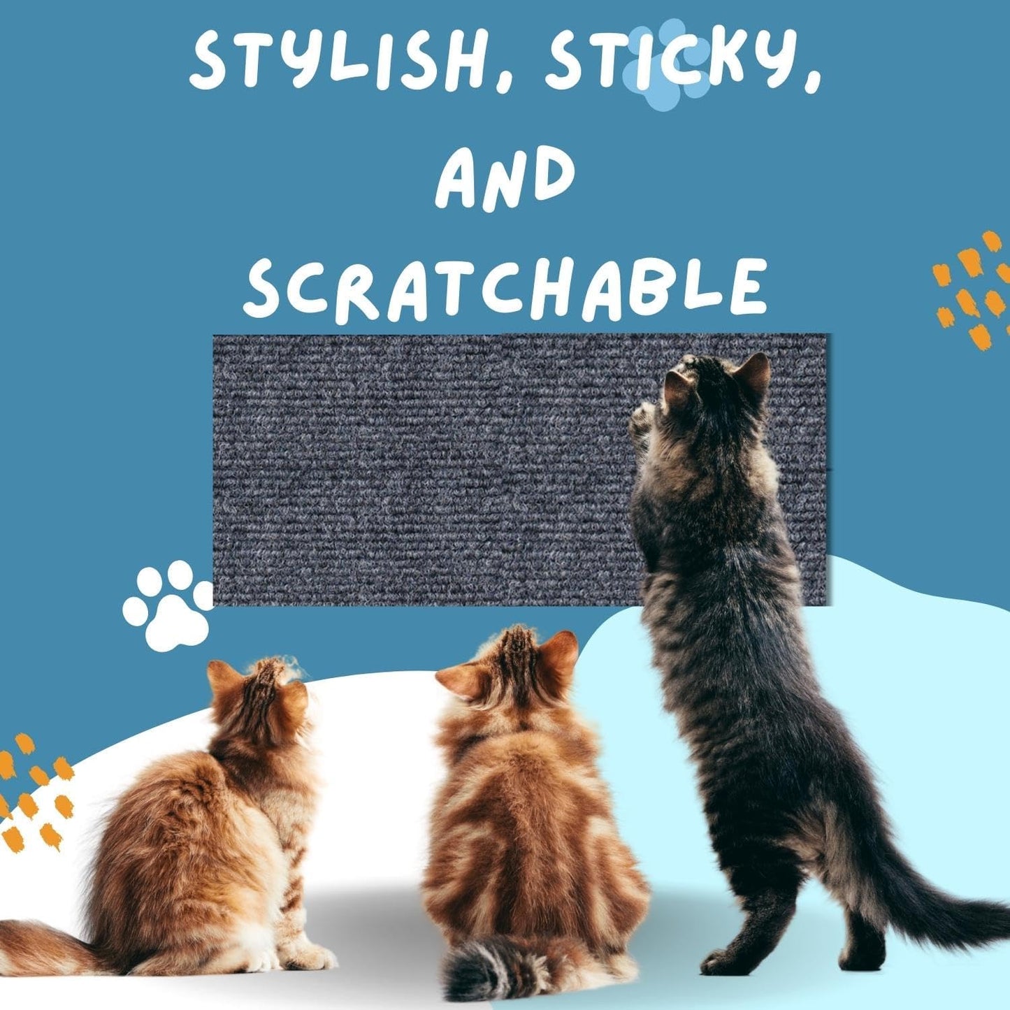Hot sale -47%🔥 -Cat Scratching